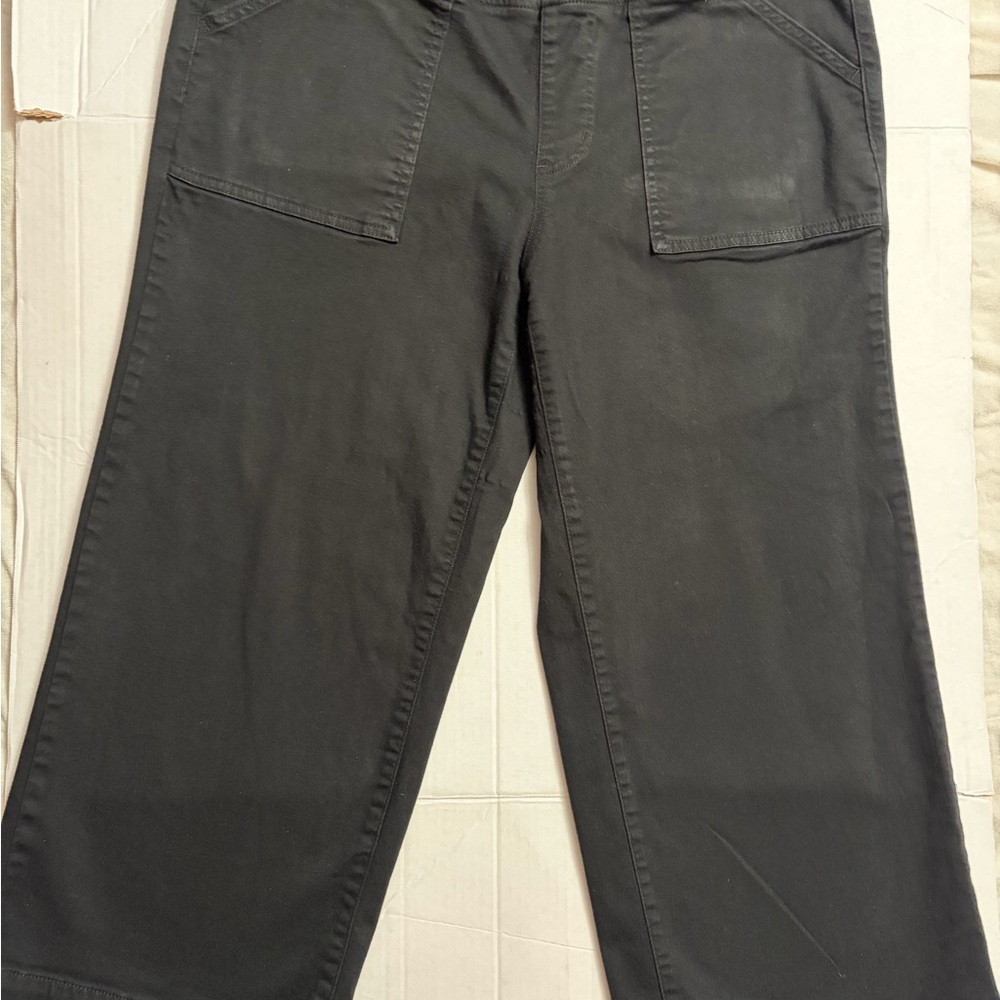 Belle By Kim Gravel Women Black Pull On Crop Pants Wide Leg Stretch Waist Sz 16